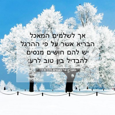 Picture 07 - האגרת אל העברים 5:14 HEB - אך לשלמים המאכל הבריא אשר - Bible Verse Picture