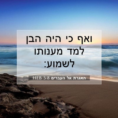 Picture 07 - האגרת אל העברים 5:8 HEB - ואף כי היה הבן למד מענותו - Bible Verse Picture