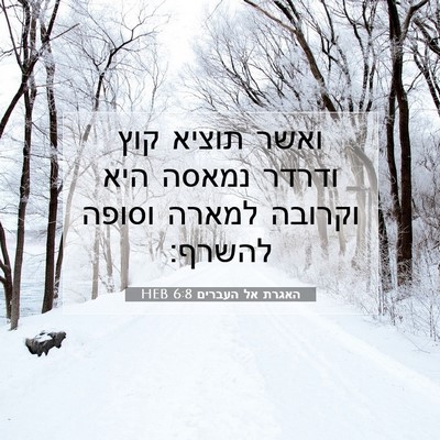 Picture 07 - האגרת אל העברים 6:8 HEB - ואשר תוציא קוץ ודרדר נמאסה - Bible Verse Picture