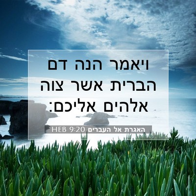 Picture 07 - האגרת אל העברים 9:20 HEB - ויאמר הנה דם הברית אשר צוה - Bible Verse Picture