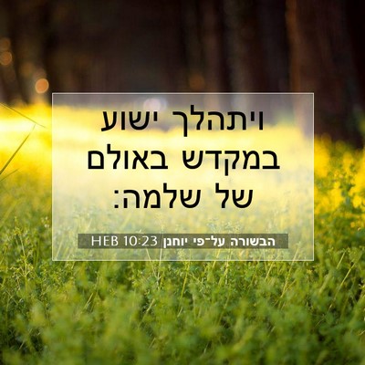 Picture 07 - הבשורה על־פי יוחנן 10:23 HEB - ויתהלך ישוע במקדש באולם של - Bible Verse Picture