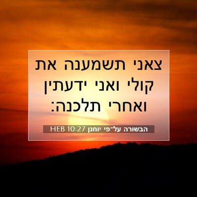 Picture 07 - הבשורה על־פי יוחנן 10:27 HEB - צאני תשמענה את קולי ואני - Bible Verse Picture