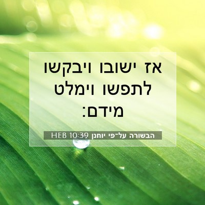 Picture 07 - הבשורה על־פי יוחנן 10:39 HEB - אז ישובו ויבקשו לתפשו - Bible Verse Picture