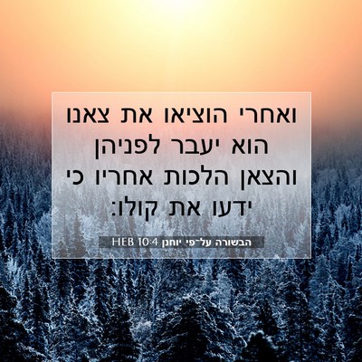 Picture 07 - הבשורה על־פי יוחנן 10:4 HEB - ואחרי הוציאו את צאנו הוא - Bible Verse Picture