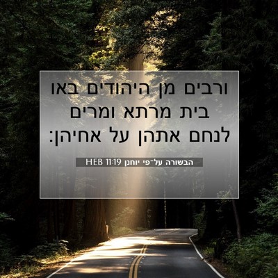 Picture 07 - הבשורה על־פי יוחנן 11:19 HEB - ורבים מן היהודים באו בית - Bible Verse Picture