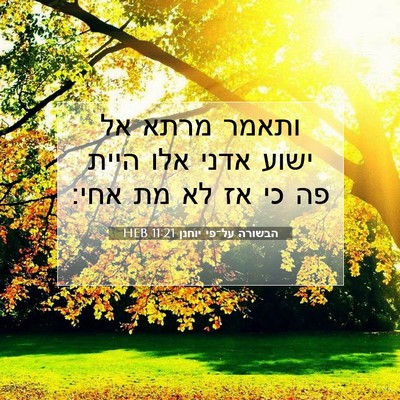 Picture 07 - הבשורה על־פי יוחנן 11:21 HEB - ותאמר מרתא אל ישוע אדני אלו - Bible Verse Picture