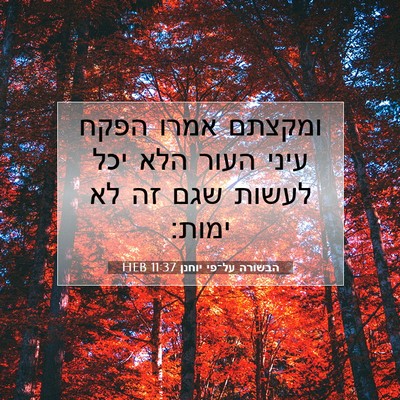 Picture 07 - הבשורה על־פי יוחנן 11:37 HEB - ומקצתם אמרו הפקח עיני העור - Bible Verse Picture