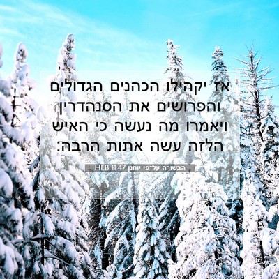 Picture 07 - הבשורה על־פי יוחנן 11:47 HEB - אז יקהילו הכהנים הגדולים - Bible Verse Picture