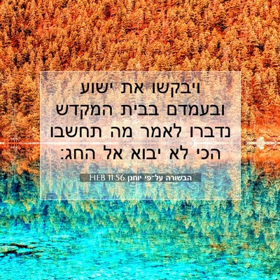 Picture 07 - הבשורה על־פי יוחנן 11:56 HEB - ויבקשו את ישוע ובעמדם בבית - Bible Verse Picture