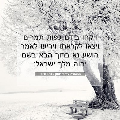 Picture 07 - הבשורה על־פי יוחנן 12:13 HEB - ויקחו בידם כפות תמרים - Bible Verse Picture