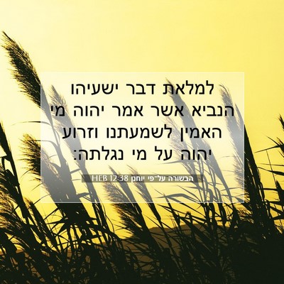 Picture 07 - הבשורה על־פי יוחנן 12:38 HEB - למלאת דבר ישעיהו הנביא אשר - Bible Verse Picture