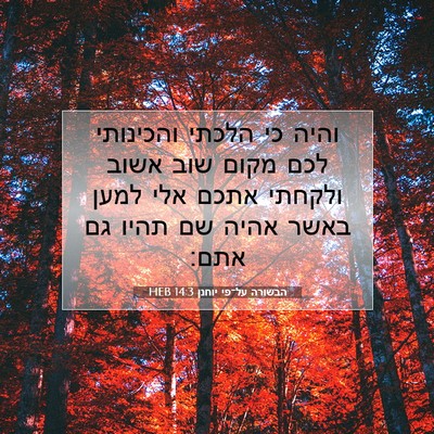 Picture 07 - הבשורה על־פי יוחנן 14:3 HEB - והיה כי הלכתי והכינותי לכם - Bible Verse Picture