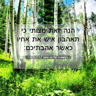 Picture 07 - הבשורה על־פי יוחנן 15:12 HEB - הנה זאת מצותי כי תאהבון איש - Bible Verse Picture