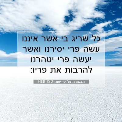 Picture 07 - הבשורה על־פי יוחנן 15:2 HEB - כל שריג בי אשר איננו עשה - Bible Verse Picture