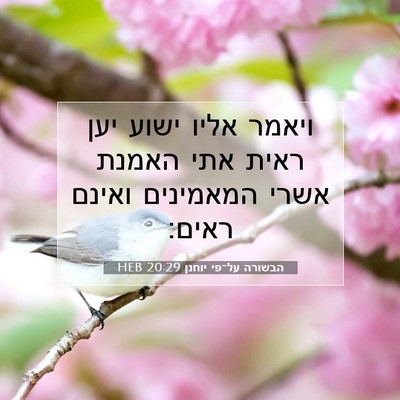 Picture 07 - הבשורה על־פי יוחנן 20:29 HEB - ויאמר אליו ישוע יען ראית - Bible Verse Picture