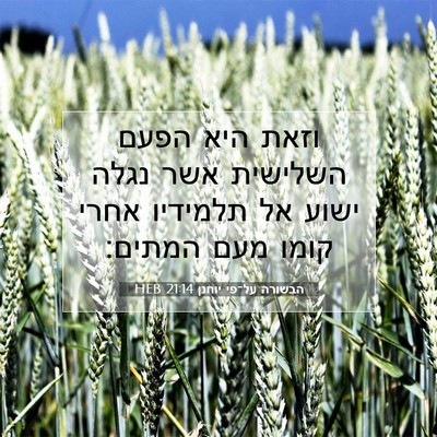 Picture 07 - הבשורה על־פי יוחנן 21:14 HEB - וזאת היא הפעם השלישית אשר - Bible Verse Picture