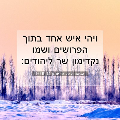 Picture 07 - הבשורה על־פי יוחנן 3:1 HEB - ויהי איש אחד בתוך הפרושים - Bible Verse Picture