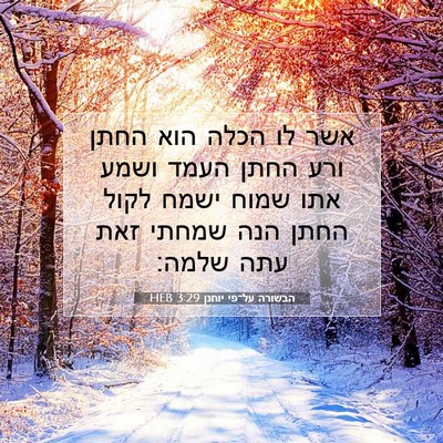 Picture 07 - הבשורה על־פי יוחנן 3:29 HEB - אשר לו הכלה הוא החתן ורע - Bible Verse Picture