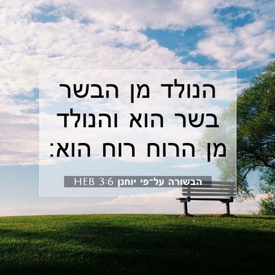 Picture 07 - הבשורה על־פי יוחנן 3:6 HEB - הנולד מן הבשר בשר הוא - Bible Verse Picture