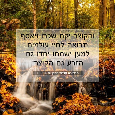 Picture 07 - הבשורה על־פי יוחנן 4:36 HEB - והקוצר יקח שכרו ויאסף - Bible Verse Picture