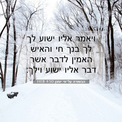 Picture 07 - הבשורה על־פי יוחנן 4:50 HEB - ויאמר אליו ישוע לך לך בנך - Bible Verse Picture