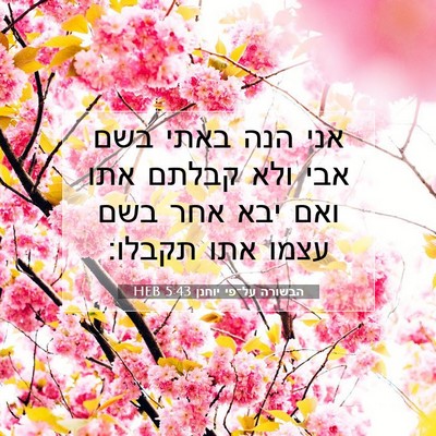 Picture 07 - הבשורה על־פי יוחנן 5:43 HEB - אני הנה באתי בשם אבי ולא - Bible Verse Picture