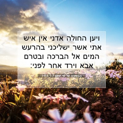 Picture 07 - הבשורה על־פי יוחנן 5:7 HEB - ויען החולה אדני אין איש אתי - Bible Verse Picture