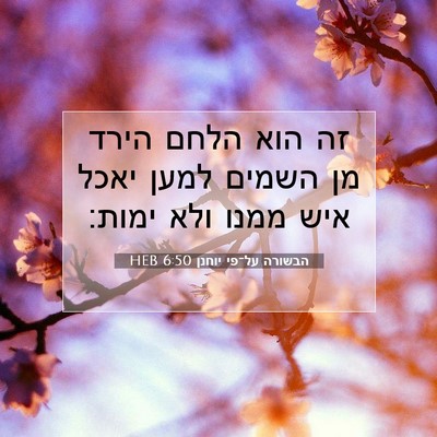 Picture 07 - הבשורה על־פי יוחנן 6:50 HEB - זה הוא הלחם הירד מן השמים - Bible Verse Picture