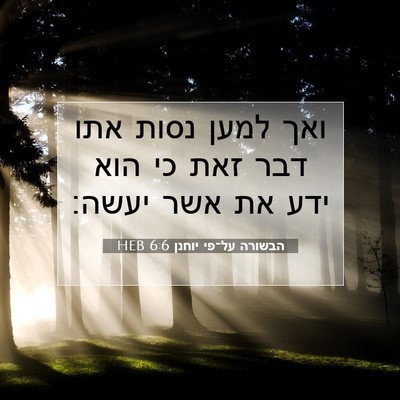Picture 07 - הבשורה על־פי יוחנן 6:6 HEB - ואך למען נסות אתו דבר זאת - Bible Verse Picture