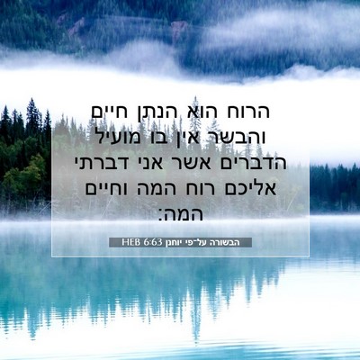Picture 07 - הבשורה על־פי יוחנן 6:63 HEB - הרוח הוא הנתן חיים והבשר - Bible Verse Picture