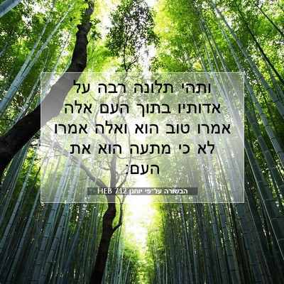 Picture 07 - הבשורה על־פי יוחנן 7:12 HEB - ותהי תלונה רבה על אדותיו - Bible Verse Picture