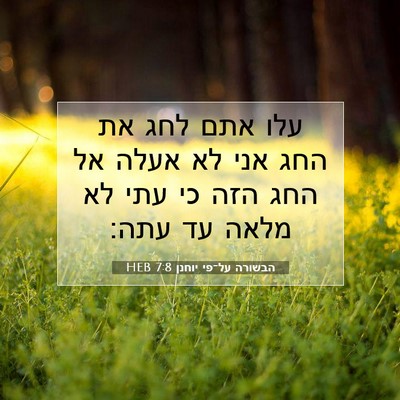 Picture 07 - הבשורה על־פי יוחנן 7:8 HEB - עלו אתם לחג את החג אני לא - Bible Verse Picture
