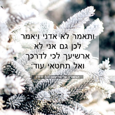Picture 07 - הבשורה על־פי יוחנן 8:11 HEB - ותאמר לא אדני ויאמר לכן גם - Bible Verse Picture