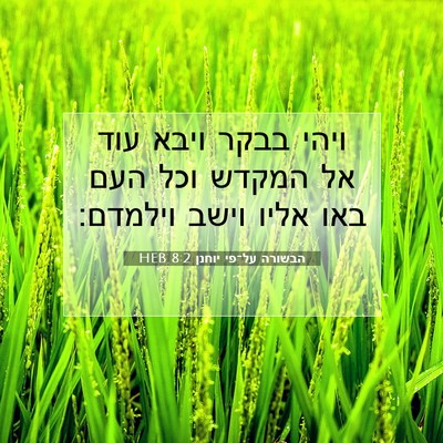 Picture 07 - הבשורה על־פי יוחנן 8:2 HEB - ויהי בבקר ויבא עוד אל המקדש - Bible Verse Picture