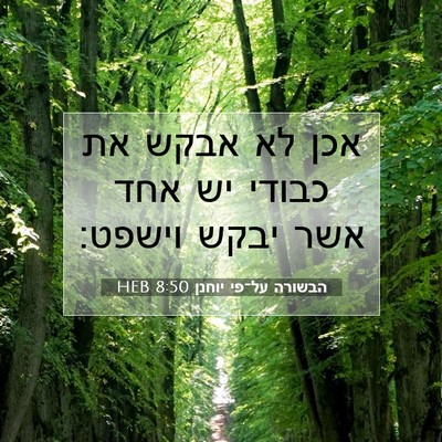 Picture 07 - הבשורה על־פי יוחנן 8:50 HEB - אכן לא אבקש את כבודי יש אחד - Bible Verse Picture