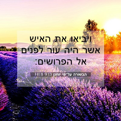 Picture 07 - הבשורה על־פי יוחנן 9:13 HEB - ויביאו את האיש אשר היה עור - Bible Verse Picture