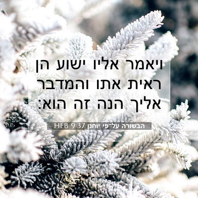 Picture 07 - הבשורה על־פי יוחנן 9:37 HEB - ויאמר אליו ישוע הן ראית אתו - Bible Verse Picture