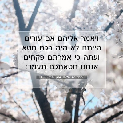 Picture 07 - הבשורה על־פי יוחנן 9:41 HEB - ויאמר אליהם אם עורים הייתם - Bible Verse Picture