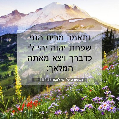Picture 07 - הבשורה על־פי לוקס 1:38 HEB - ותאמר מרים הנני שפחת יהוה - Bible Verse Picture