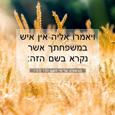 Picture 07 - הבשורה על־פי לוקס 1:61 HEB - ויאמרו אליה אין איש - Bible Verse Picture