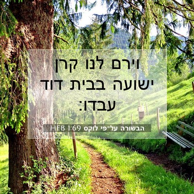 Picture 07 - הבשורה על־פי לוקס 1:69 HEB - וירם לנו קרן ישועה בבית דוד - Bible Verse Picture