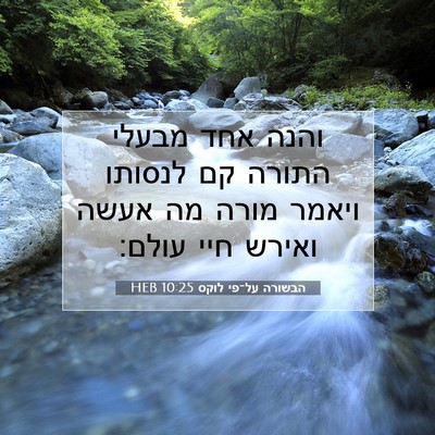 Picture 07 - הבשורה על־פי לוקס 10:25 HEB - והנה אחד מבעלי התורה קם - Bible Verse Picture