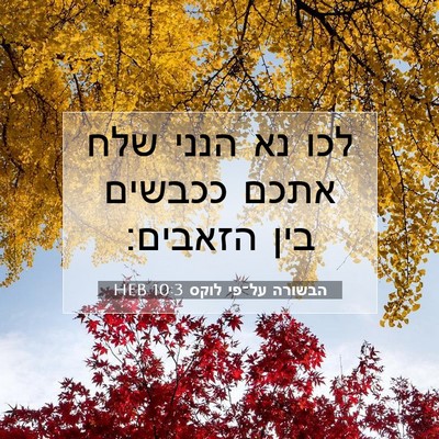 Picture 07 - הבשורה על־פי לוקס 10:3 HEB - לכו נא הנני שלח אתכם ככבשים - Bible Verse Picture