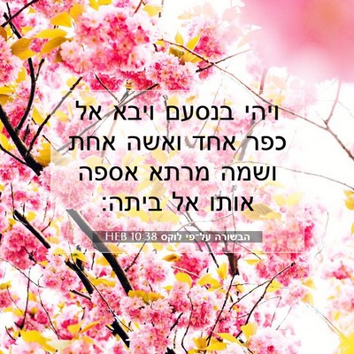 Picture 07 - הבשורה על־פי לוקס 10:38 HEB - ויהי בנסעם ויבא אל כפר אחד - Bible Verse Picture