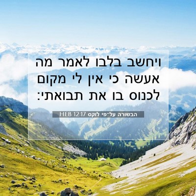 Picture 07 - הבשורה על־פי לוקס 12:17 HEB - ויחשב בלבו לאמר מה אעשה כי - Bible Verse Picture