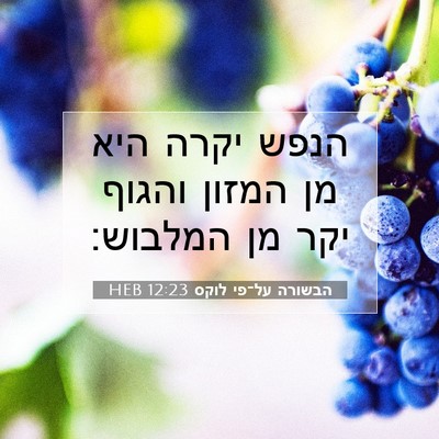 Picture 07 - הבשורה על־פי לוקס 12:23 HEB - הנפש יקרה היא מן המזון - Bible Verse Picture