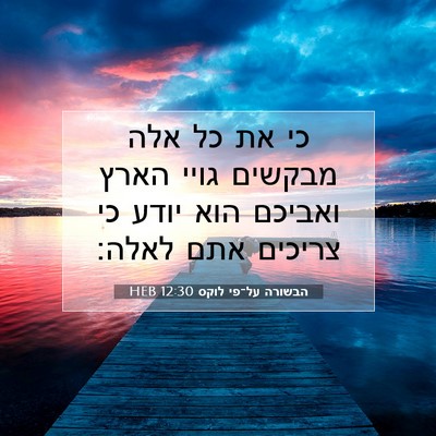 Picture 07 - הבשורה על־פי לוקס 12:30 HEB - כי את כל אלה מבקשים גויי - Bible Verse Picture