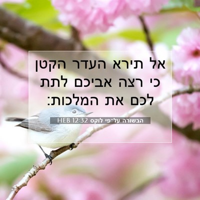 Picture 07 - הבשורה על־פי לוקס 12:32 HEB - אל תירא העדר הקטן כי רצה - Bible Verse Picture