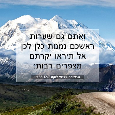 Picture 07 - הבשורה על־פי לוקס 12:7 HEB - ואתם גם שערות ראשכם נמנות - Bible Verse Picture
