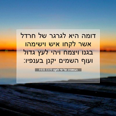 Picture 07 - הבשורה על־פי לוקס 13:19 HEB - דומה היא לגרגר של חרדל אשר - Bible Verse Picture